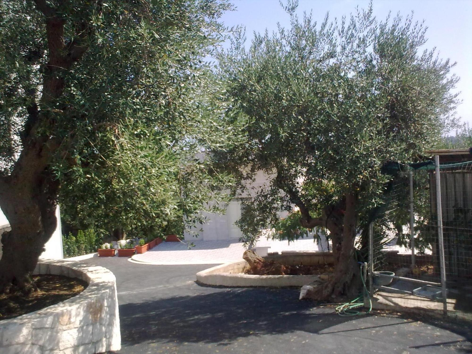 Bed & Breakfast La Collinetta Locorotondo Eksteriør billede
